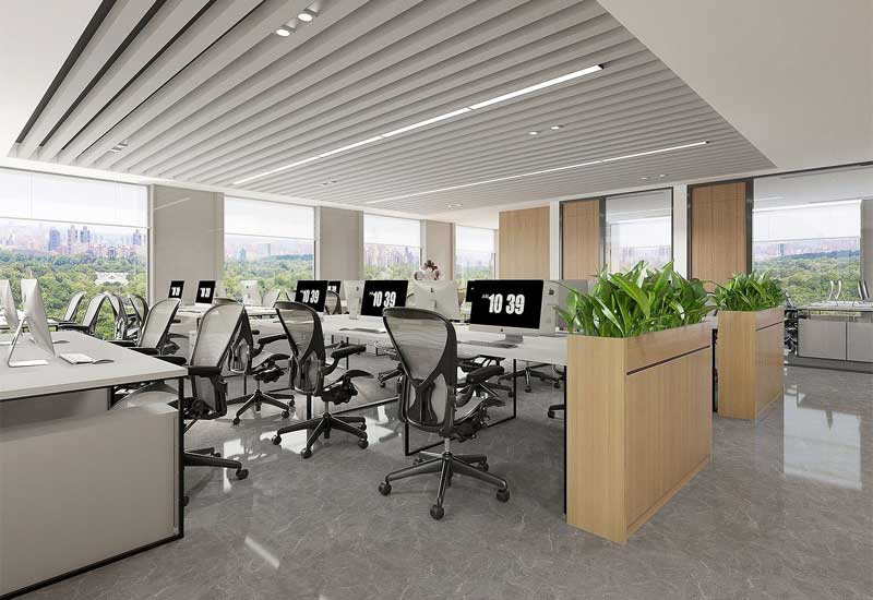 鄭州辦公室裝修設(shè)計的綠植種類：耐陰與易養(yǎng)護品種